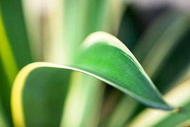 《热血三国志：全员集结》Switch版12月日本发售